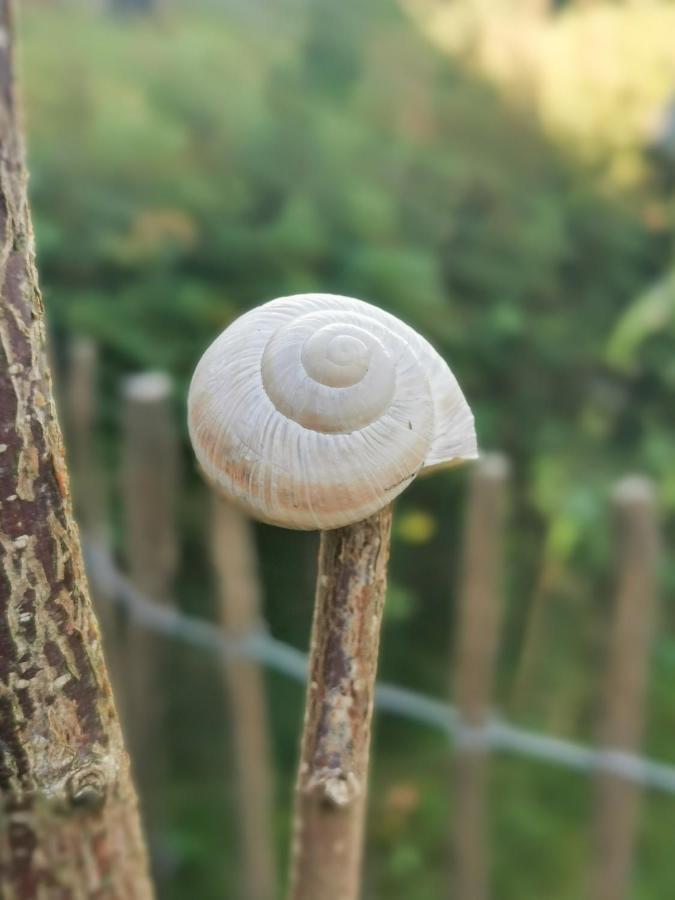 Ferienglueck An Der Nordsee Buche Deine Erdgeschoss-Ferienwohnung Mit Kamin Terrasse Und Eingezaeuntem Garten Fuer Unvergessliche Auszeiten Altfunnixsiel Esterno foto