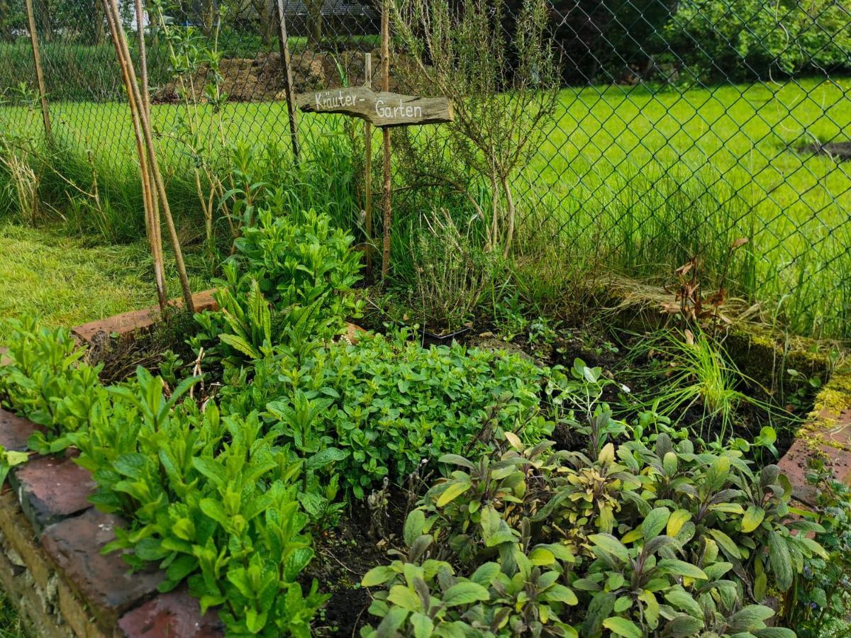 Ferienglueck An Der Nordsee Buche Deine Erdgeschoss-Ferienwohnung Mit Kamin Terrasse Und Eingezaeuntem Garten Fuer Unvergessliche Auszeiten Altfunnixsiel Esterno foto